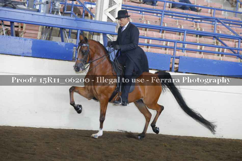Proof 15R11_06200