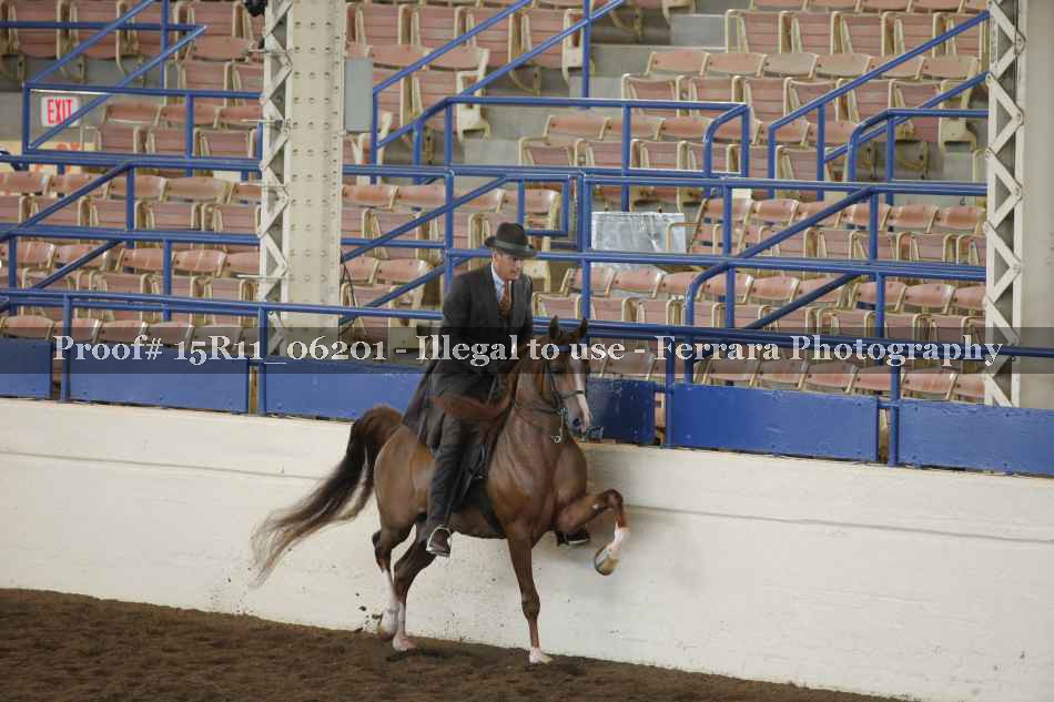 Proof 15R11_06201