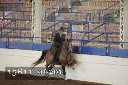 15R11_06201 proof