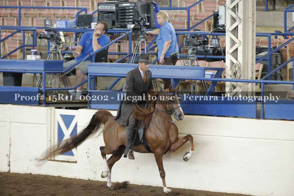 Proof 15R11_06202