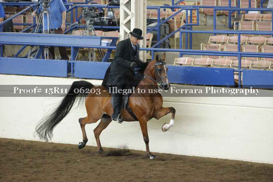 Proof 15R11_06203