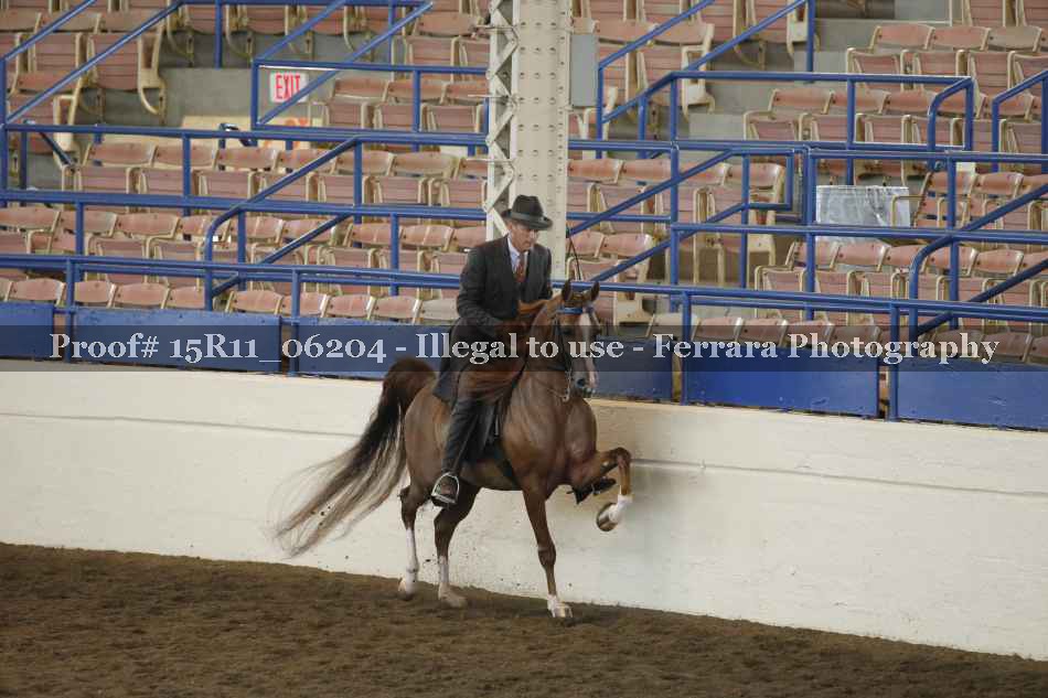 Proof 15R11_06204