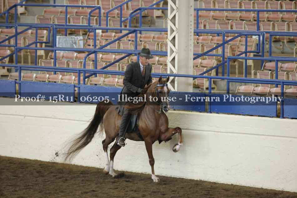 Proof 15R11_06205