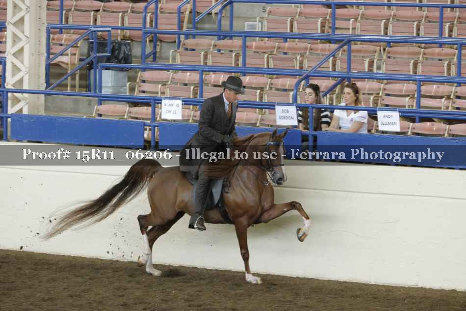 Proof 15R11_06206