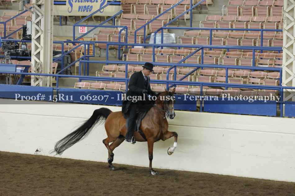 Proof 15R11_06207