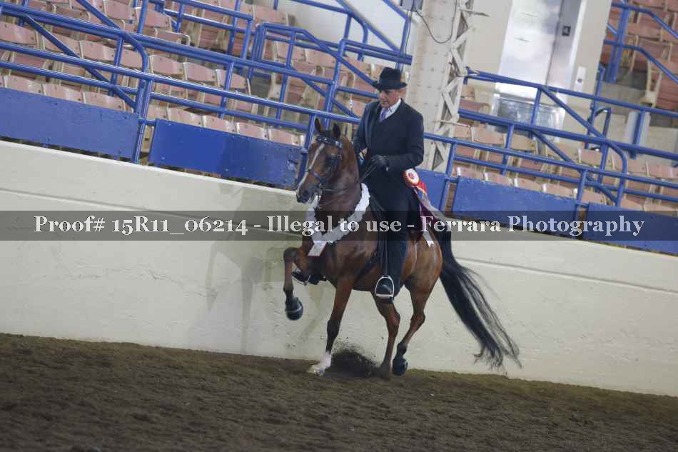 Proof 15R11_06214