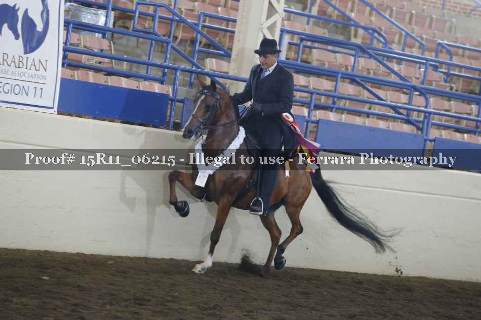 Proof 15R11_06215