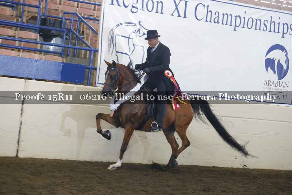 Proof 15R11_06216
