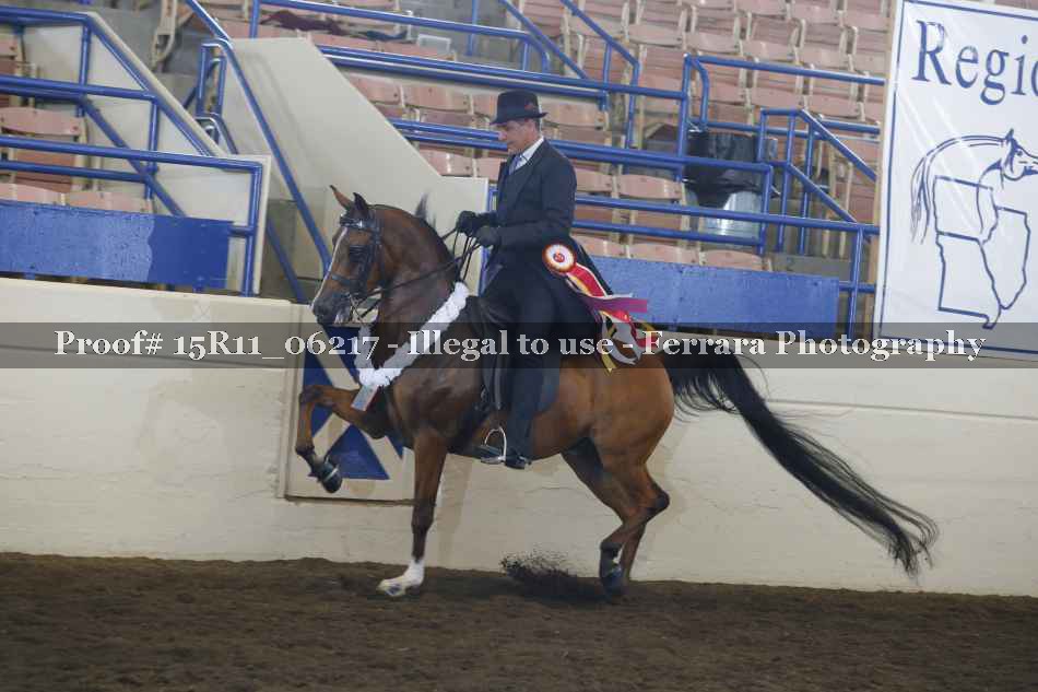 Proof 15R11_06217