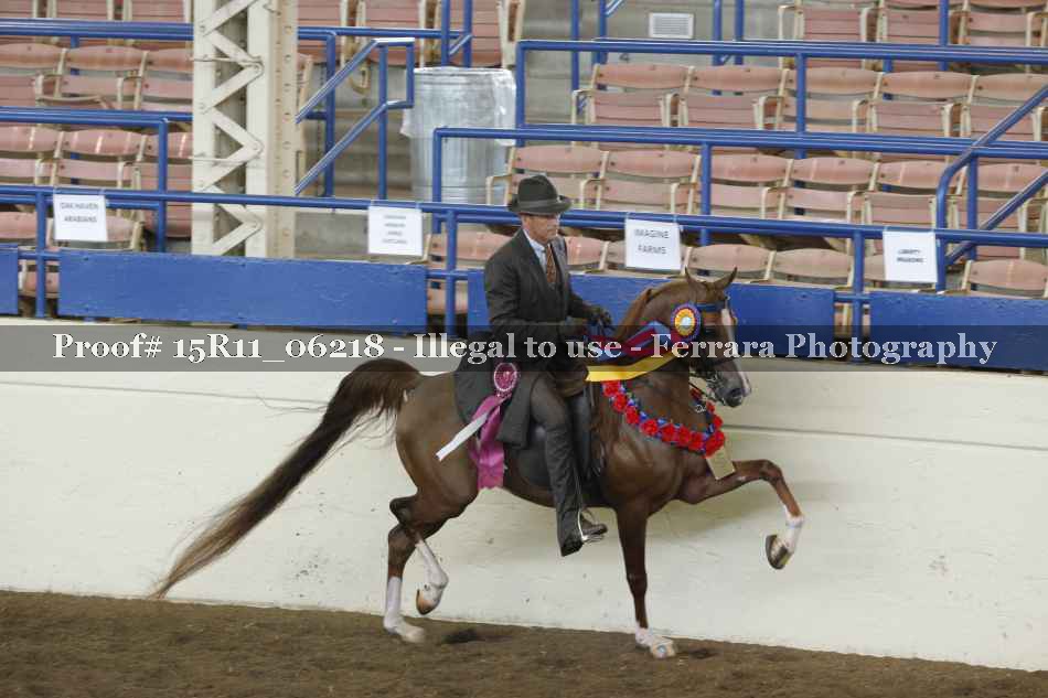 Proof 15R11_06218