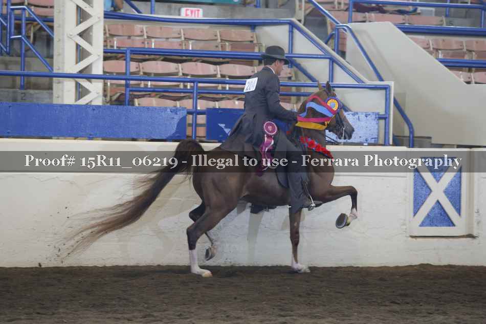 Proof 15R11_06219