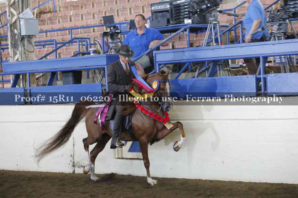 Proof 15R11_06220