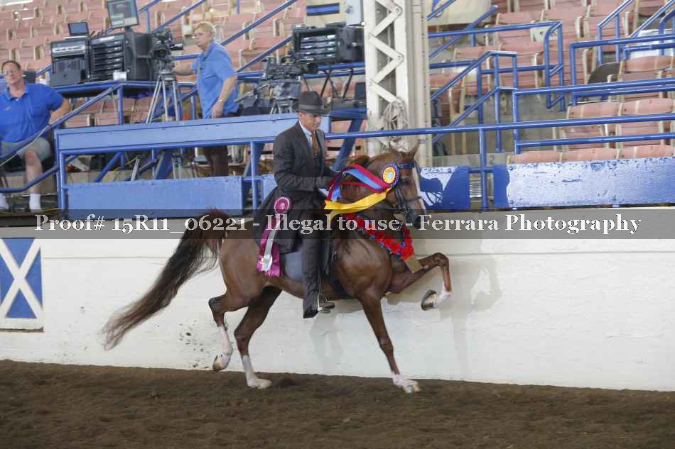 Proof 15R11_06221