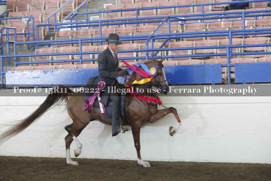 Proof 15R11_06222
