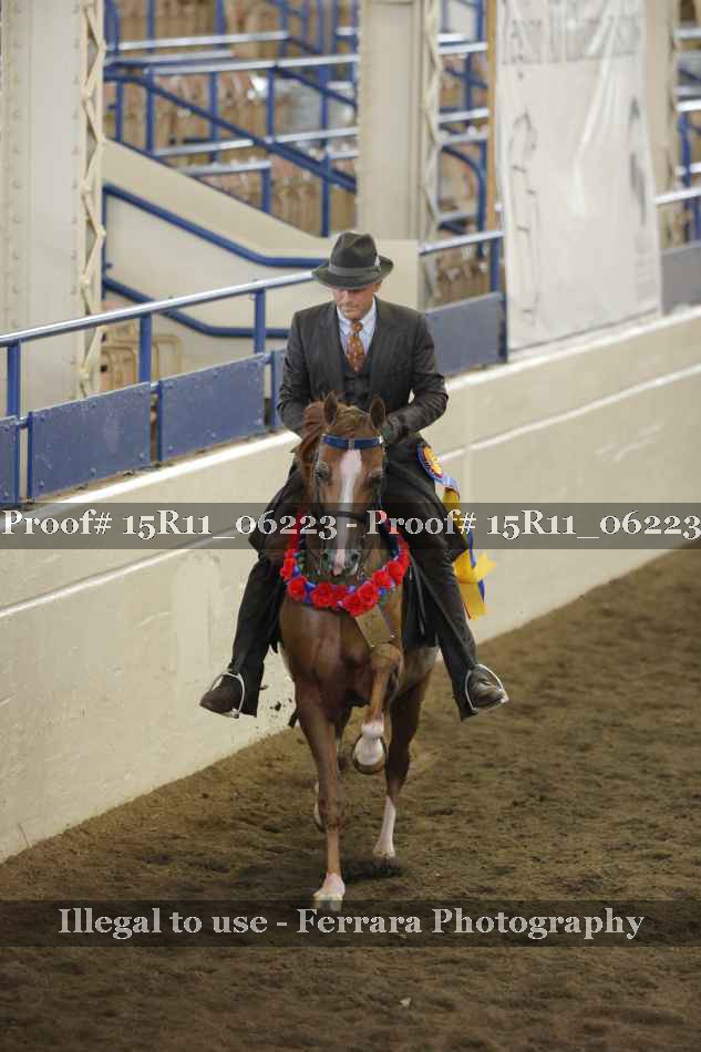 Proof 15R11_06223