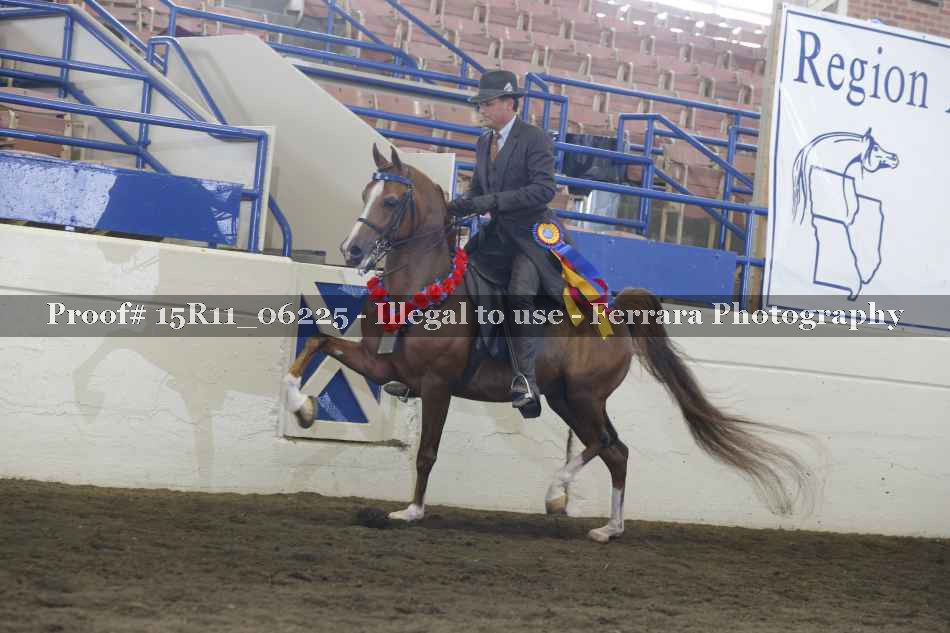 Proof 15R11_06225
