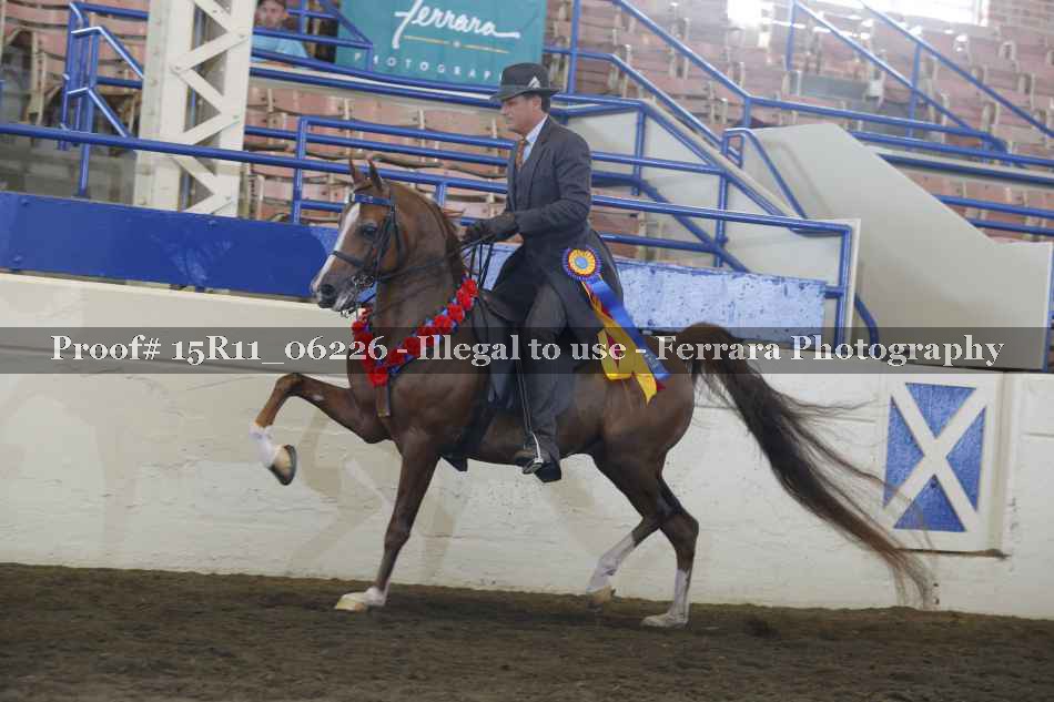 Proof 15R11_06226