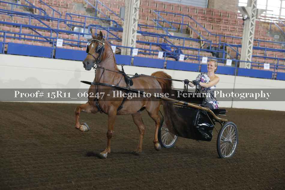 Proof 15R11_06247