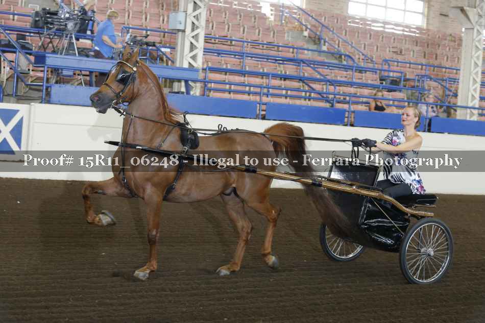 Proof 15R11_06248