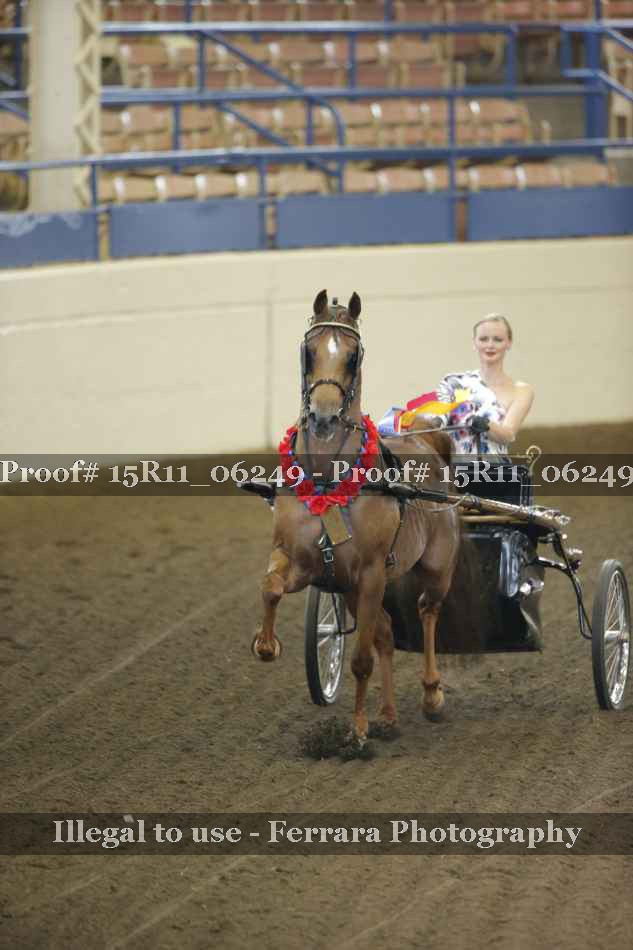 Proof 15R11_06249