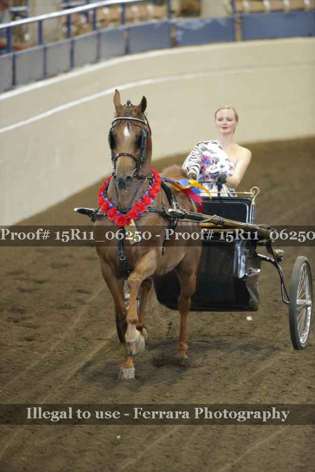 Proof 15R11_06250
