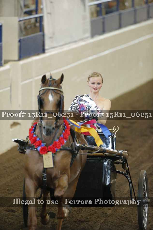 Proof 15R11_06251