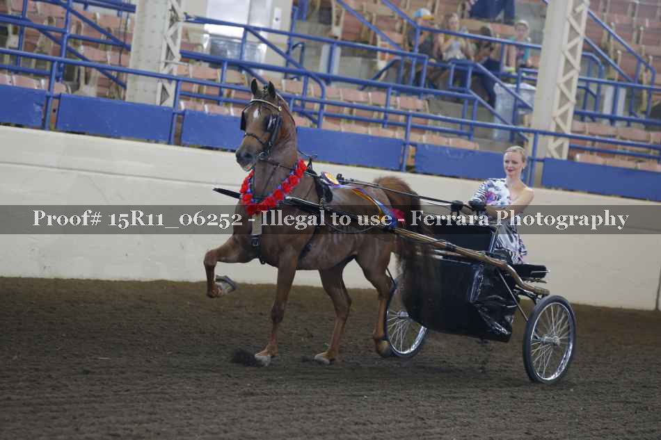 Proof 15R11_06252