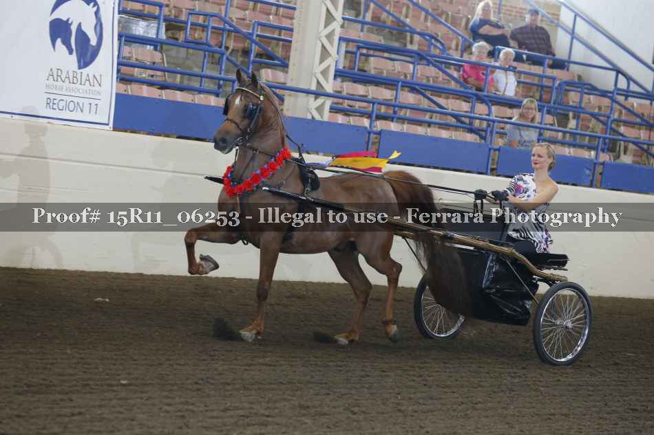 Proof 15R11_06253