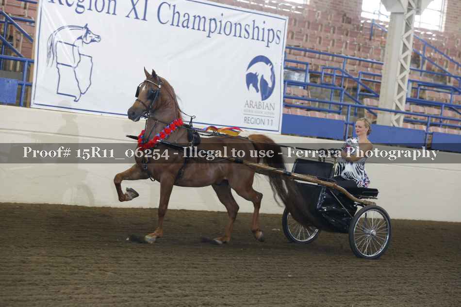 Proof 15R11_06254
