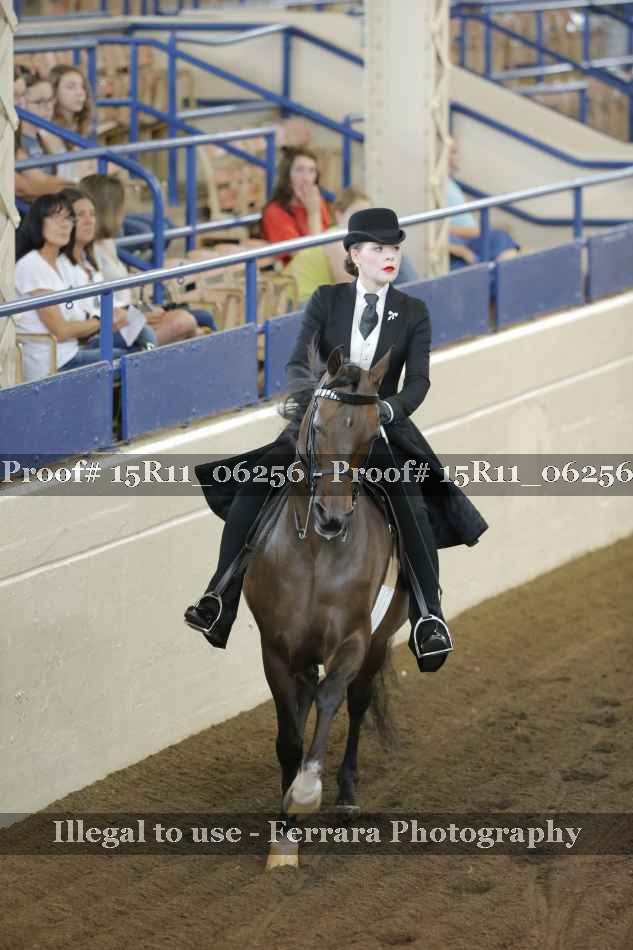 Proof 15R11_06256
