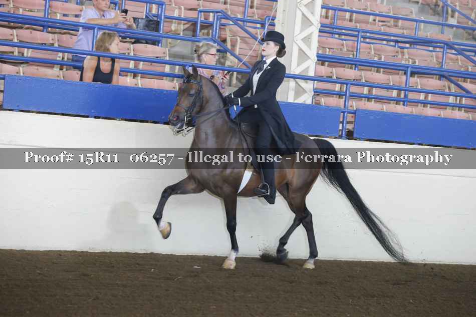 Proof 15R11_06257