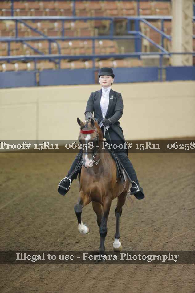 Proof 15R11_06258