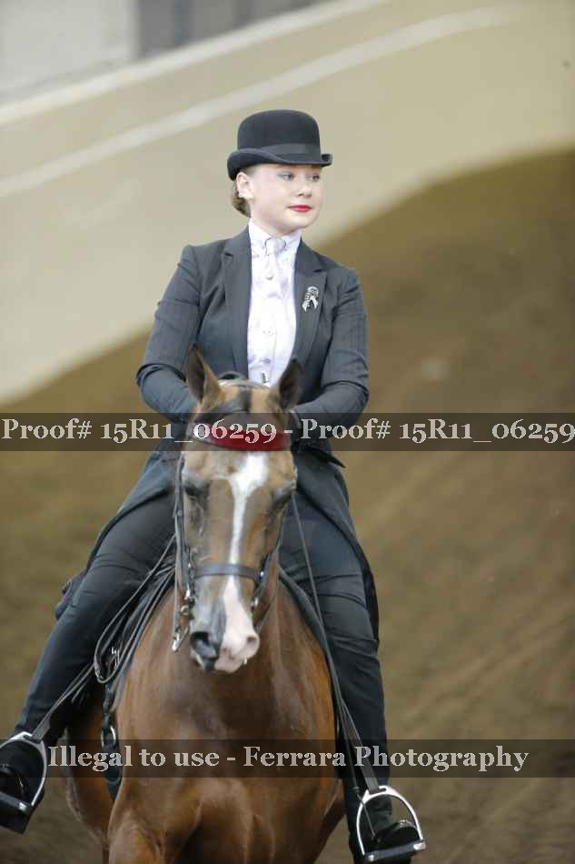 Proof 15R11_06259