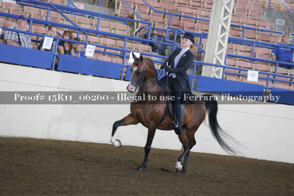 Proof 15R11_06260