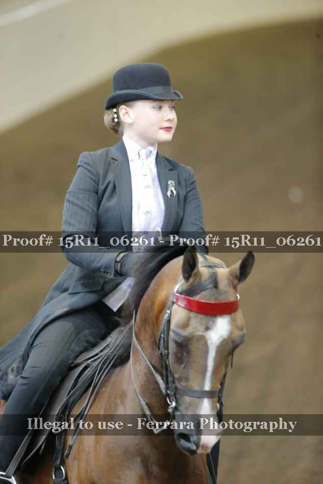 Proof 15R11_06261