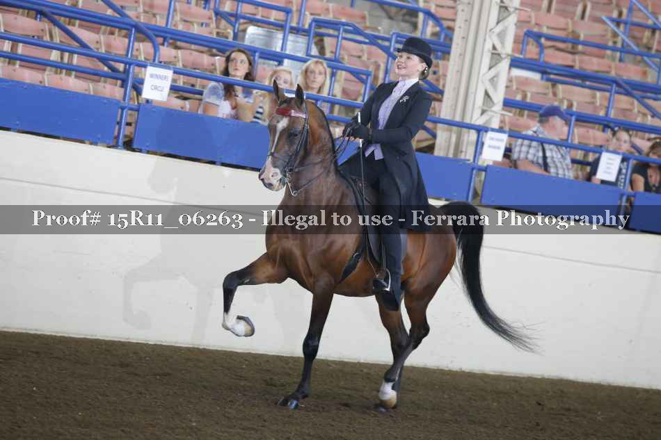 Proof 15R11_06263