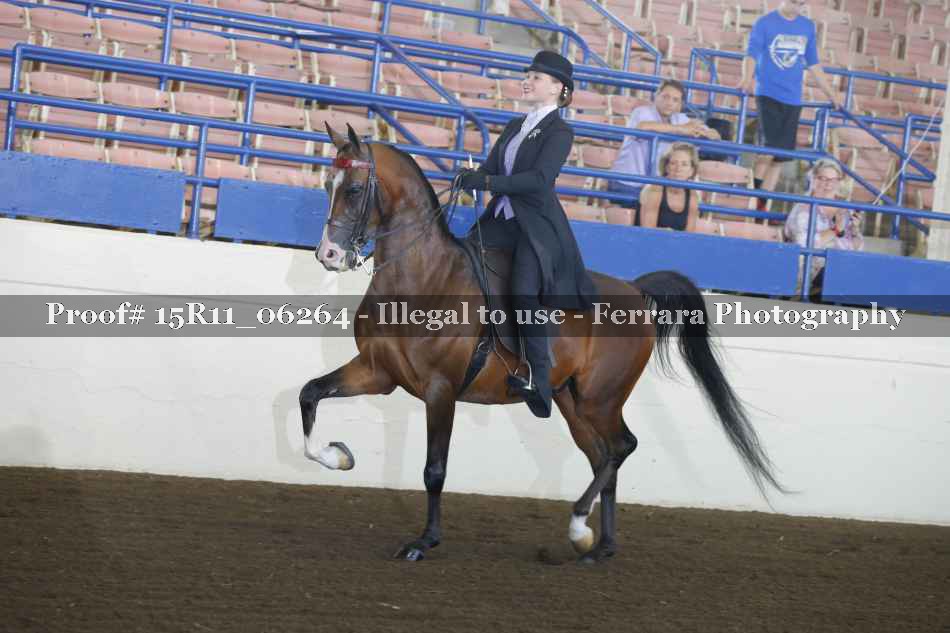 Proof 15R11_06264