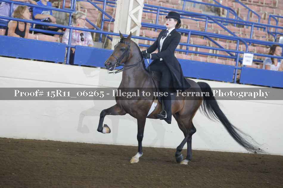 Proof 15R11_06265