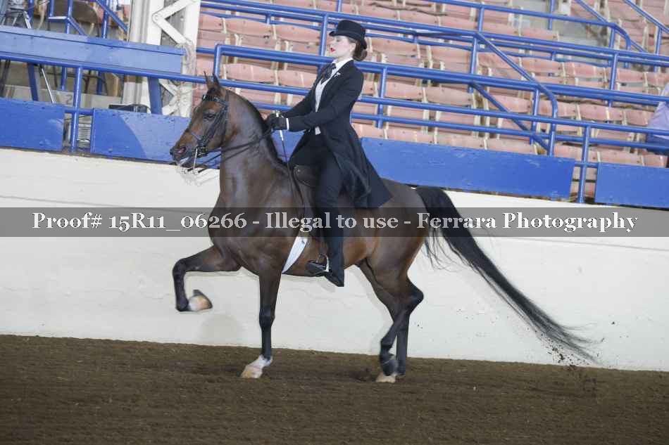 Proof 15R11_06266