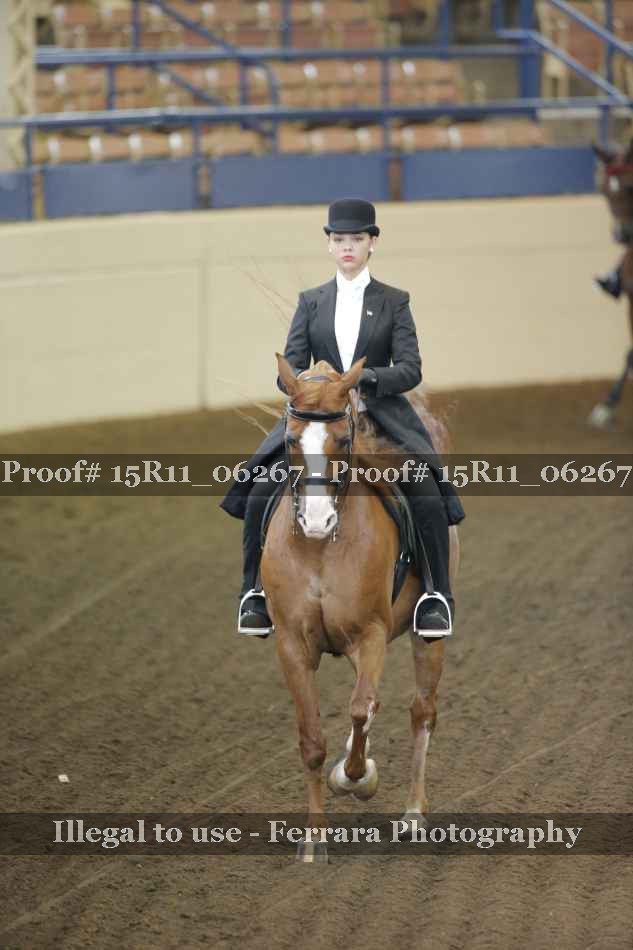 Proof 15R11_06267