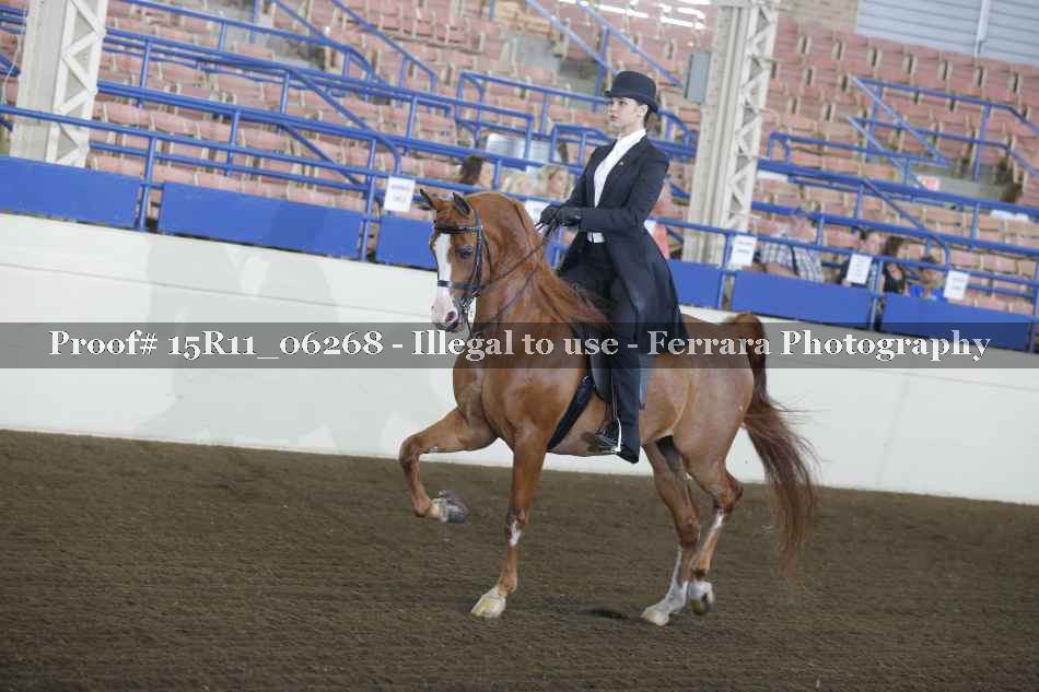 Proof 15R11_06268
