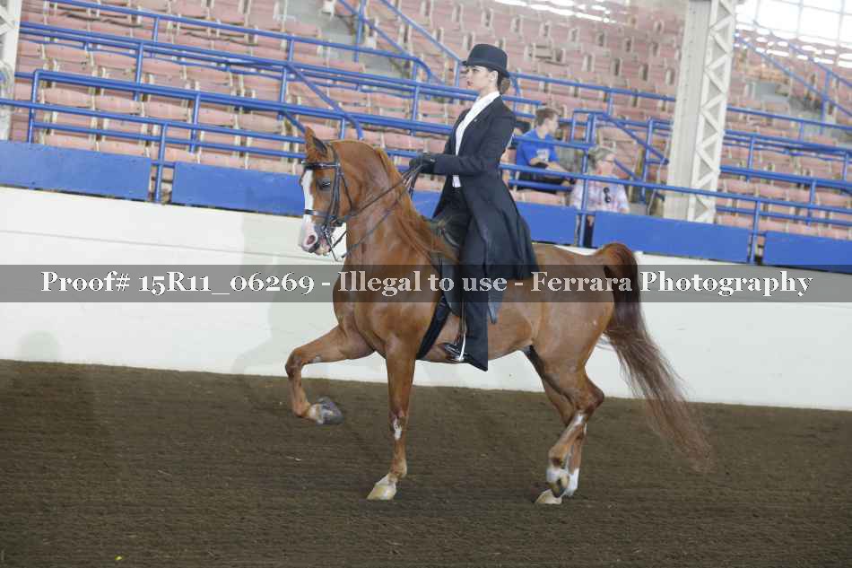 Proof 15R11_06269