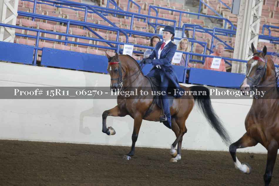 Proof 15R11_06270