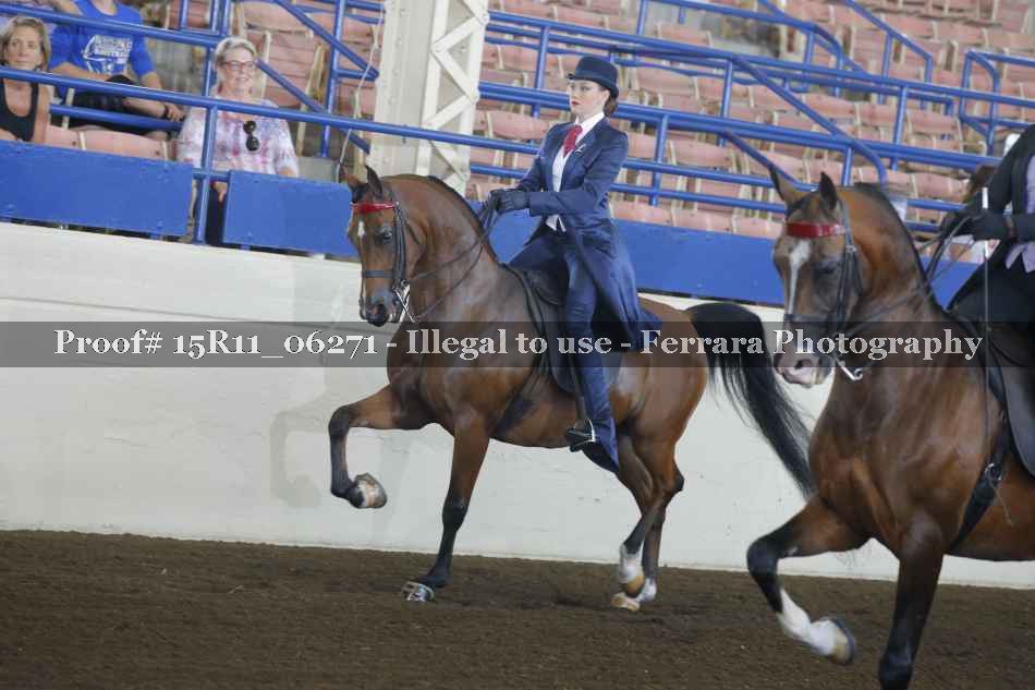 Proof 15R11_06271