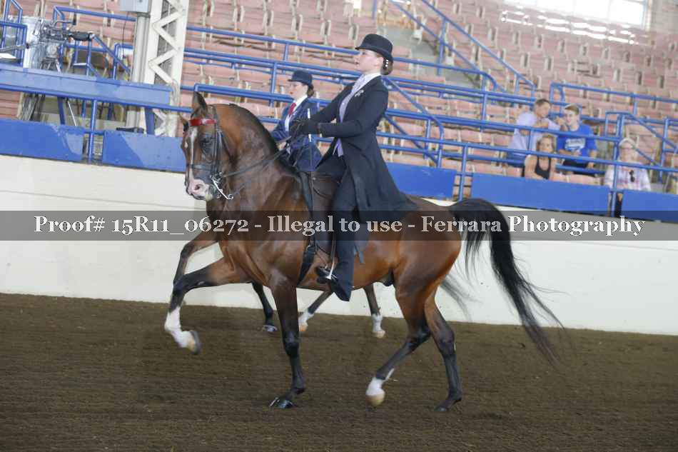 Proof 15R11_06272