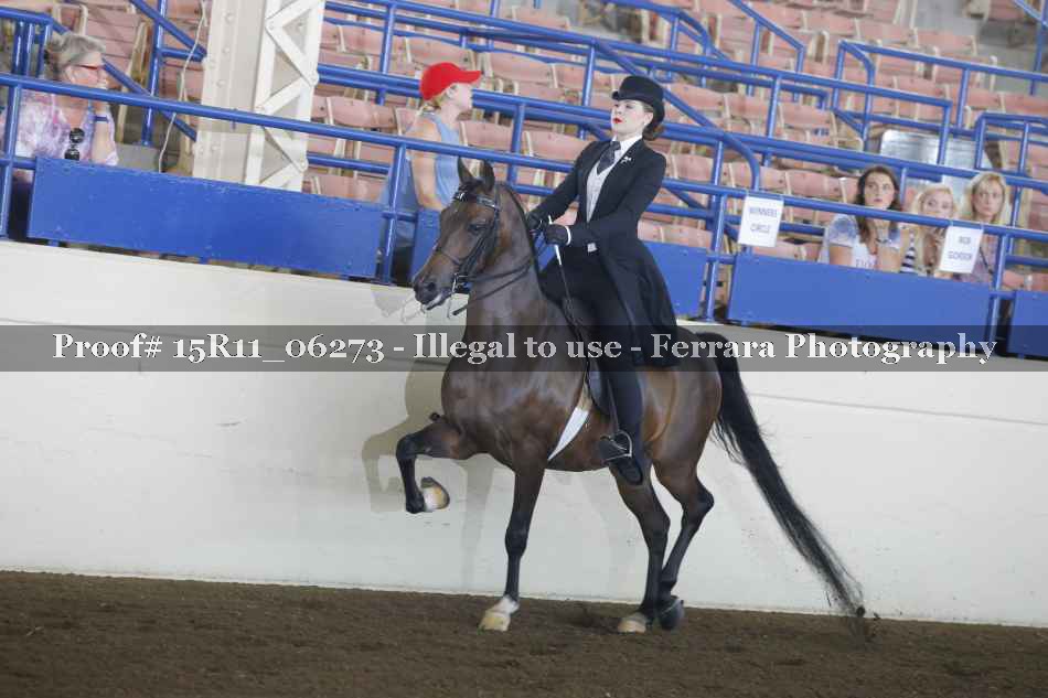 Proof 15R11_06273