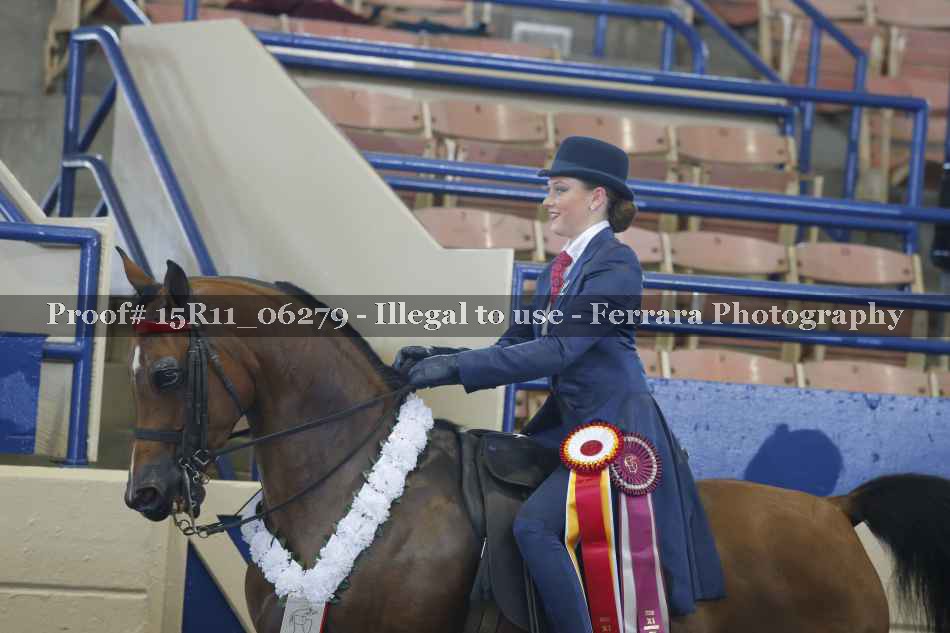 Proof 15R11_06279