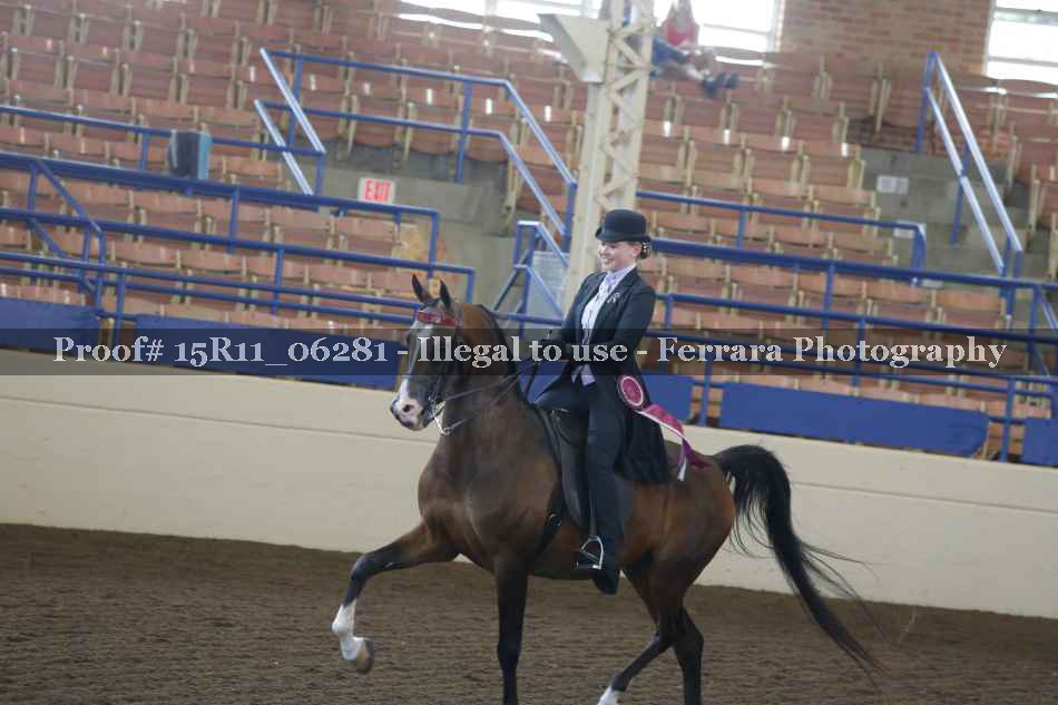 Proof 15R11_06281