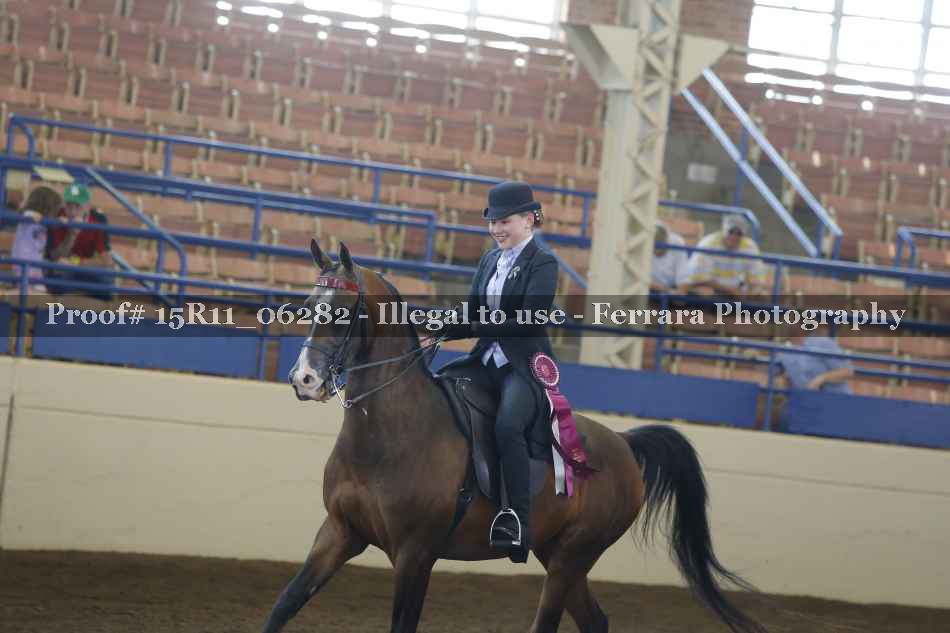 Proof 15R11_06282