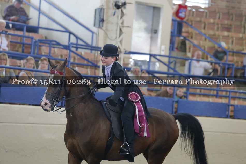 Proof 15R11_06283